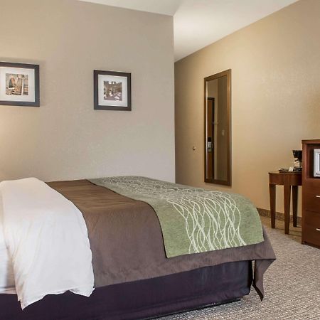 Comfort Inn Edinburg South Exterior foto